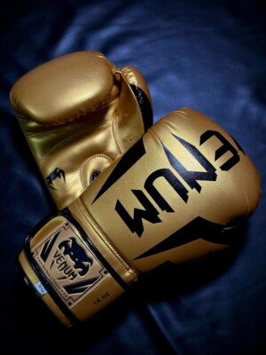 Venum Boxing Gloves, Fight, Sparring, Competiton Gloves