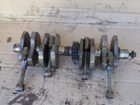 Yamaha 600 XJ Xjn Xjs Diversion 1996 2002 4br Crankshaft