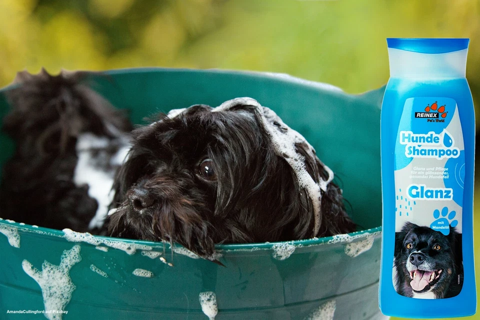 Premium Hundeshampoo 300ml mit Mandelöl Hunde Shampoo Fell Fellpflege Spülung - Bild 4 von 4