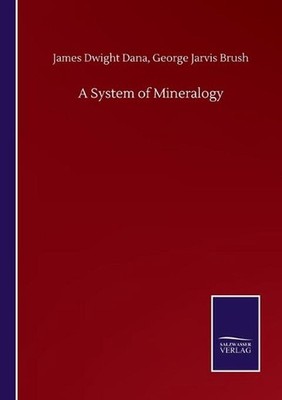 A System of Mineralogy by James Dwight Brush George Jarvis Dana Paperback Book