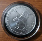 2025  Walking Liberty 1 Ounce Silver Dollar Very Good Condition. Lot of 6