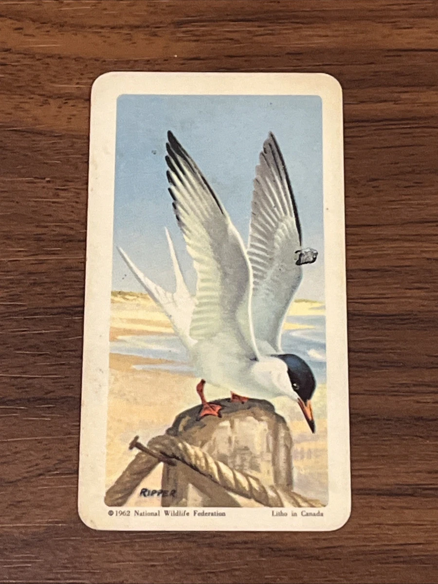 rare tea cards Rare Tea Gift Card CH main image 0