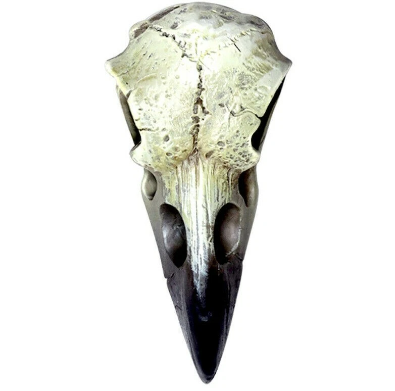 Alchemy Skull for sale | eBay