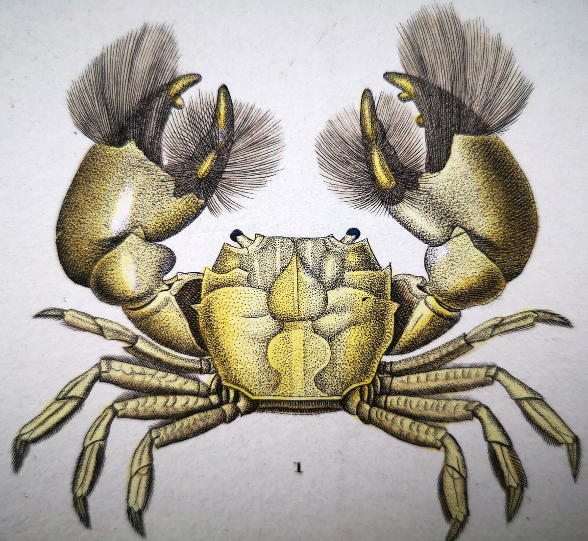 Pair of Late 19th Century Antique Chromolithographs by J. N. Fitch Pair of Late 19th Century Antique Chromolithographs by J. N. Fitch
