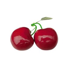 Large Foam For CHERRY Decorative Ball 105mm Diameter for Tabletop Styling