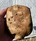 Big Fossiliferous Conglomerate Rock Puddingstone? Long Island Glacial Find 3lbs — photo 2