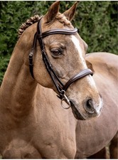 Beautiful Henry James Brown Bridle