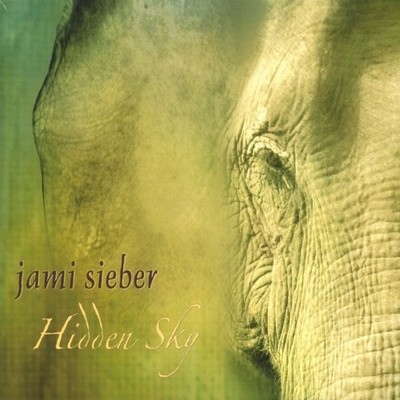 Jami Sieber   Hidden Sky CD Electric Cello Neo-Classical VGC LOOK!!!