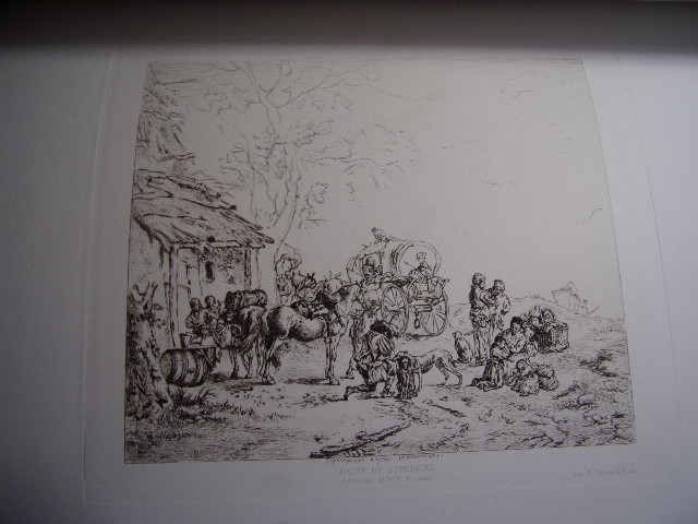 Picture 5 of 12