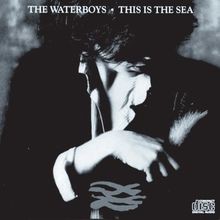 This Is the Sea von Waterboys,the | CD | Zustand sehr gut