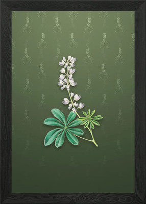 Halbstrauchige Lupine Blume gerahmtes Wandbild Poster Leinwanddruck Bild