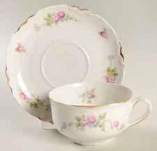 Thomas 3361  Cup & Saucer 11111103