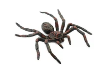 Wolf Spider, Hand Painted, Realistic Figurine, Model, Gift 5" CH186 BB115
