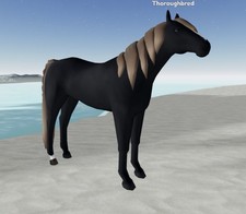 Wild Horse Islands    ND Black Winter Deer Fa...