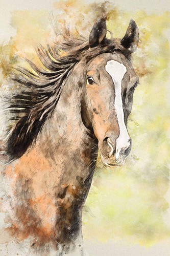 American Saddlebred Horse - CANVAS OR PRINT WALL ART - Picture 2 of 2