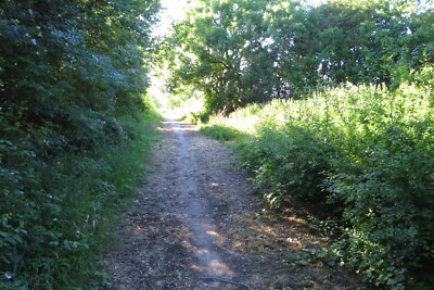 Photo 6x4 Byway out to Riseley Road Top End  c2020