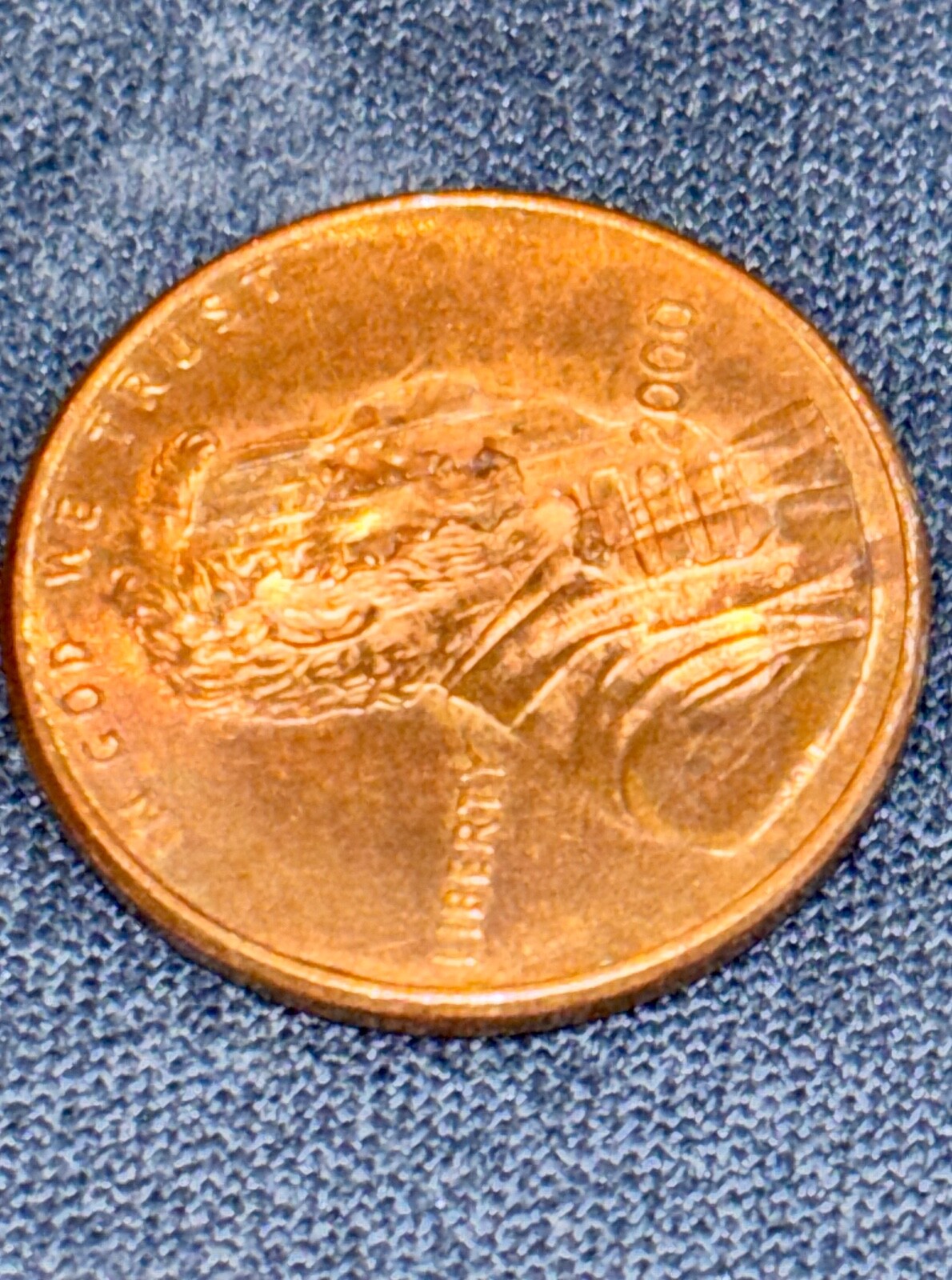 Picture 6 of 15