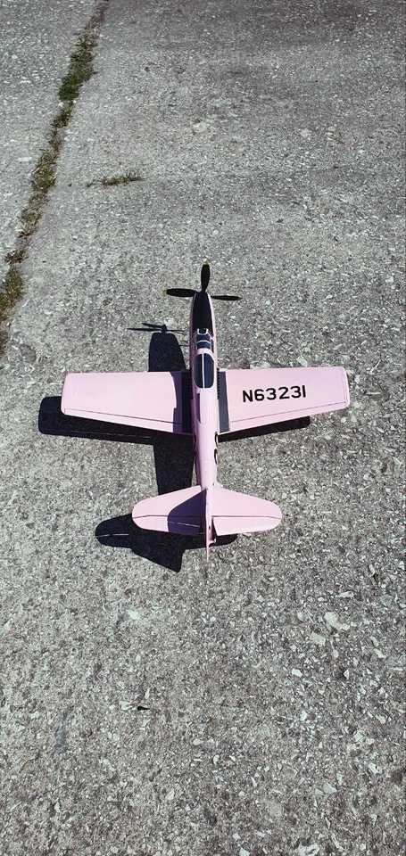 Durability Shockproof Bottle P-63C Kingcobra Easter Egg 1M Airplane ARF N63231 - Image 2 of 4