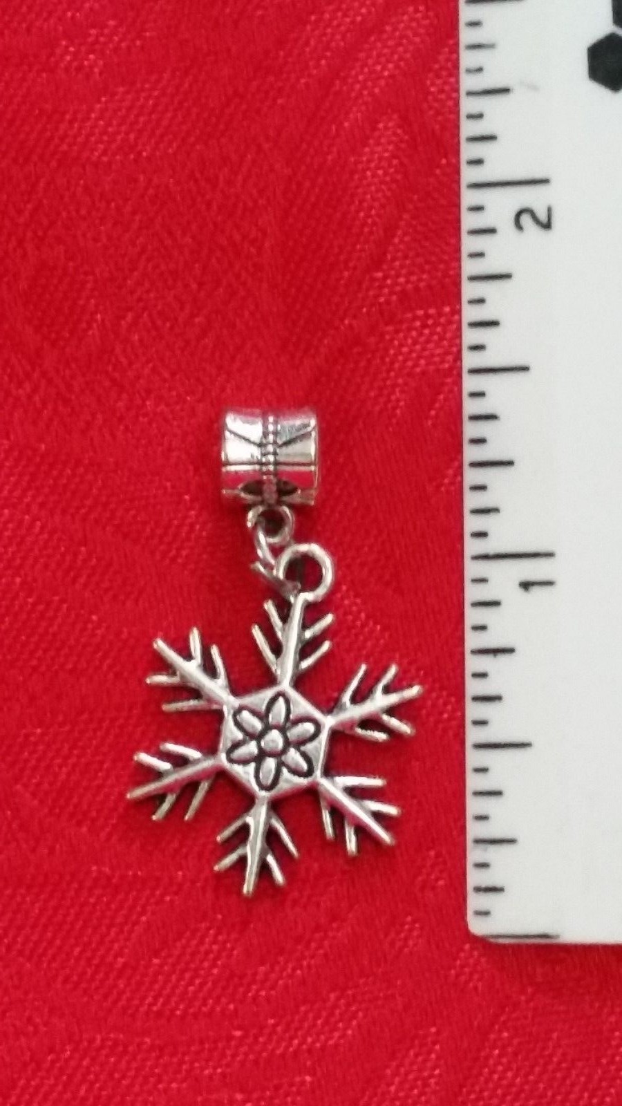 Picture 15 of 19