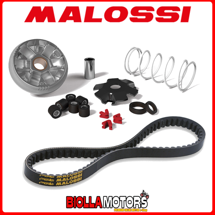 KIT VARIATOR BELT MALOSSI MBK STUNT 50 2T euro [517075+6118140