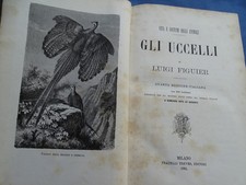 Figuier-Gli Uccelli-Rapaci-Passeracei-Trampolieri...Treves 1881-349 incisioni...