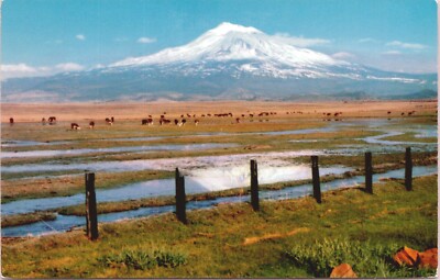 Mount Shasta - Cascade Range - Siskiyou County, California - Postcard