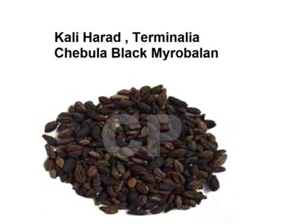 Kali Harad Bulk Terminalia Chebula Black Myrobalan Himej Small 100gm (3.5 OZ):