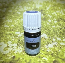 Young Living Ledum Essential Oil 5ml NEW SEALED