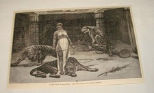 1886 magazine engraving ~ TIGER QUEEN IN OLD EGYPT