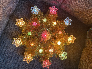 Weihnachtsstern Retro | eBay.de