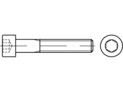 25 x Zylinderschrauben mit Innensechskant ISO 4762 A 4 BUMAX109 M 12 x 80 A 4-10