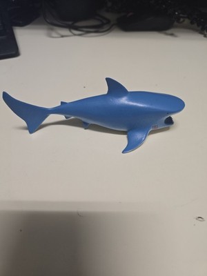 outback Steakhouse Sharks x 2 | eBay