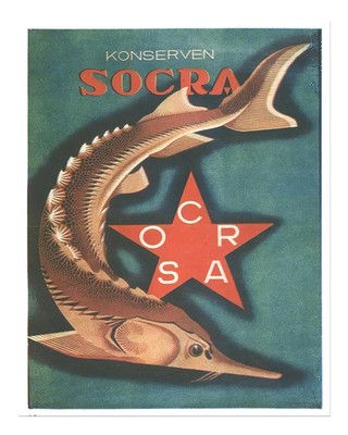 Vintage Fish Design Wall Art Poster - Unique Retro Decor Home Decor