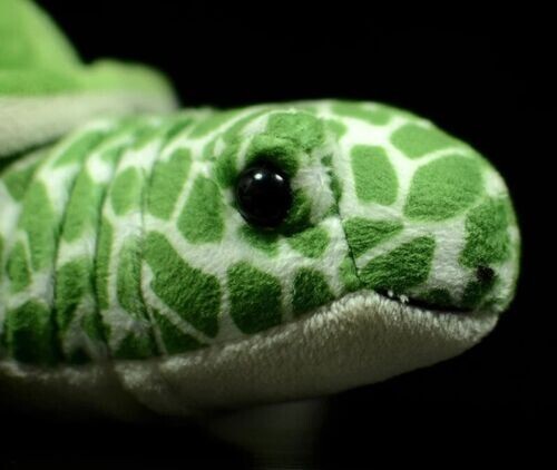 Grüne Schildkröte 11 Zoll Gefüllte Ozean Tier Plüsch Spielzeug Puppe Kinder - Picture 5 of 6