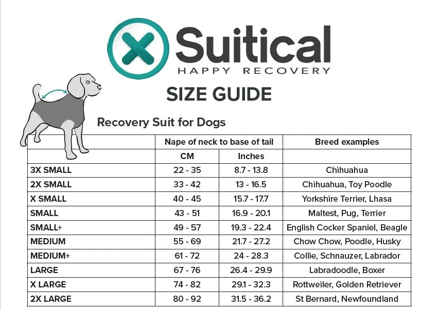 Suitical Recovery Suit for Dogs Post Operation Free or Next Day Delivery  Options | eBay