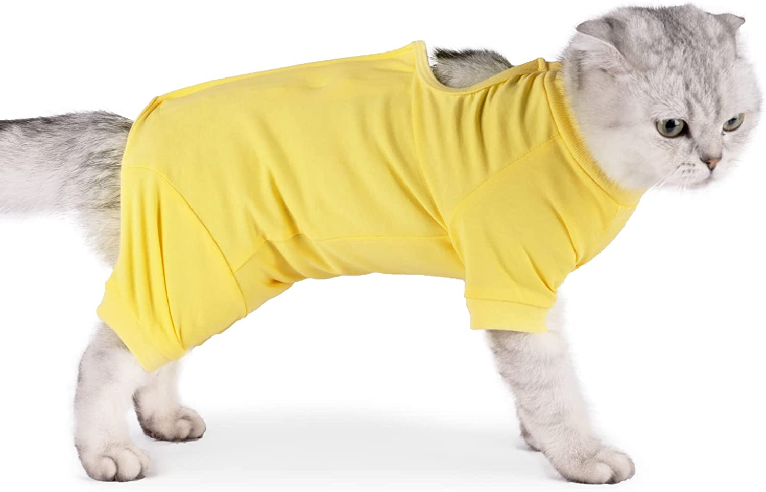 Cat Surgical Recovery Suit Professional for Male Female Cat Vest Body