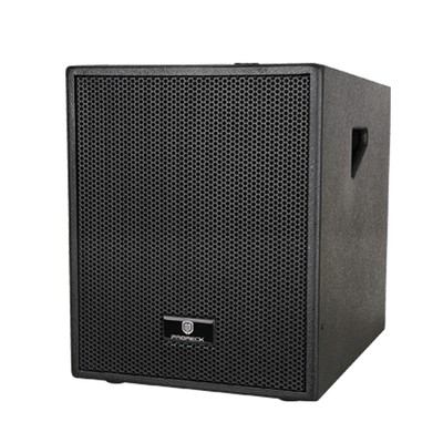 12 inch passive subwoofer
