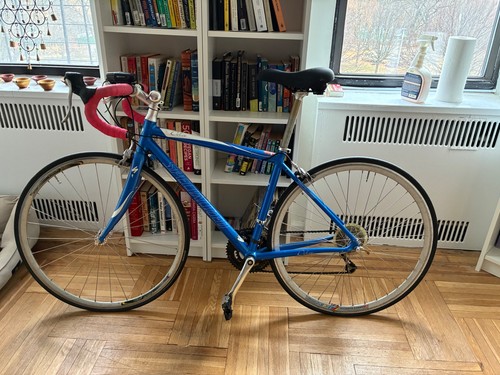 Specialized Dolce road bike – 54 Cm – Medium