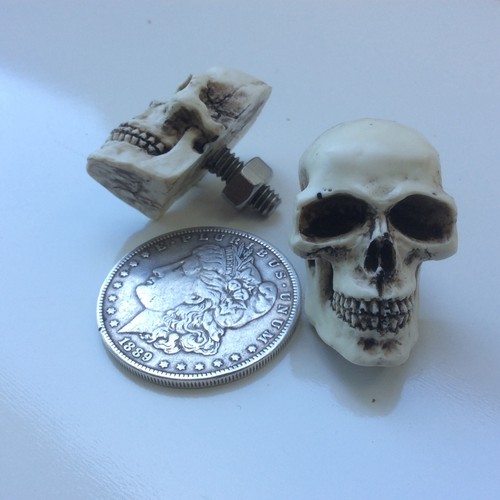 2 Skull License Plate Bolt skeleton Hot Street Rat Rod Punk American Made 29PB - Picture 3 of 6