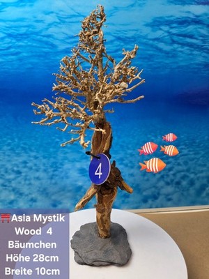   ''ASIA MYSTIC WOOD'' Aquarium Wurzel Bäumchen auf Schieferplatte Naturwurzel  