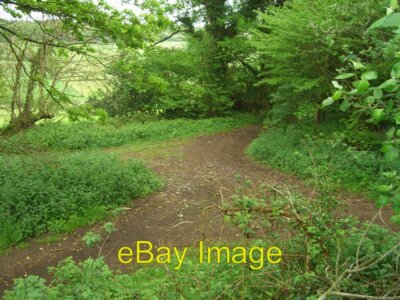 Photo 6x4 Windwhistle Corner Coombe/ST8922  c2007