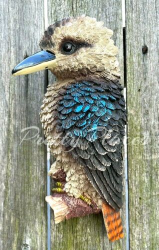 Kookaburra  Australian Bird Wall Hanging Ornament Sculpture Home Garden Décor - Picture 1 of 7