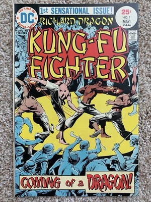Richard Dragon, Kung-Fu Fighter #1 (1975) DC Comics Jim Dennis Leo Duranona