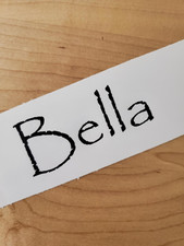 Bella pet name Sticker Vinyl Decals 10" (2) PAIR black- Dog Cat Pet Puppy FAST
