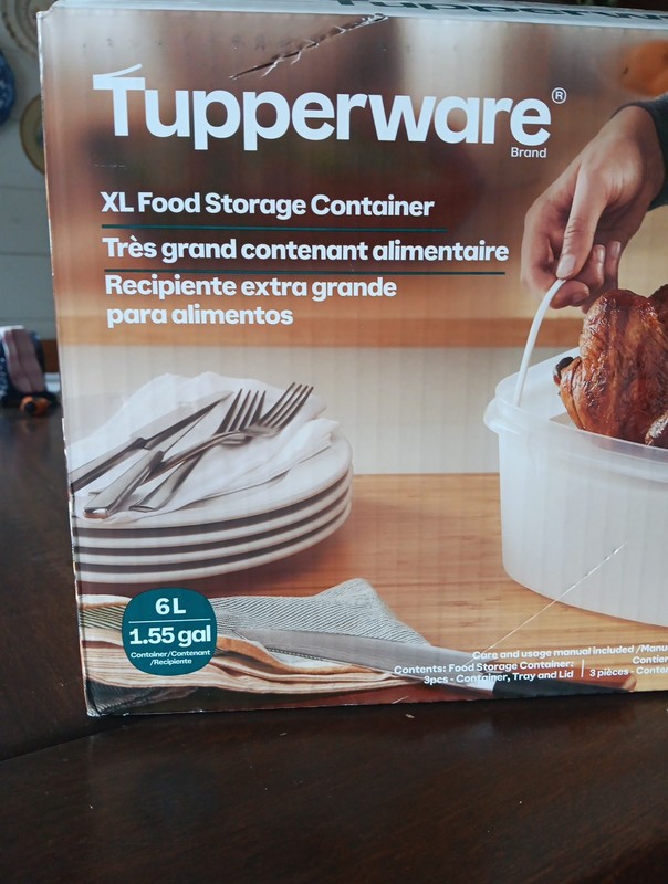 Chicken Carrier Picnic Tupperware XL FOOD Storage Container 1.55 Gallon 6L NEW