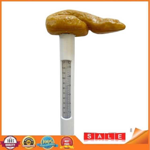Swimming Pool Floating Thermometer Hot Tub SPA Water Temperature Measuring Meter