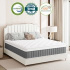 10"12"14" Hybrid Spring Memory Foam Twin Full Queen King Size Mattress In A Box 