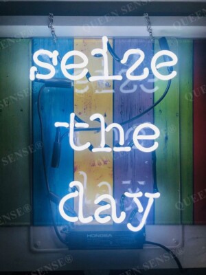 20''x16'' Seize The Day White Acrylic Neon Sign Light Lamp Gift Glass Room Wall QL
