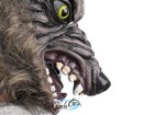 Imagen 4 de 8