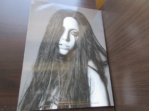 Lady Gaga The Monster Ball 2009 / 10 Tour Book Concert Program Haus of Gaga - Picture 2 of 6